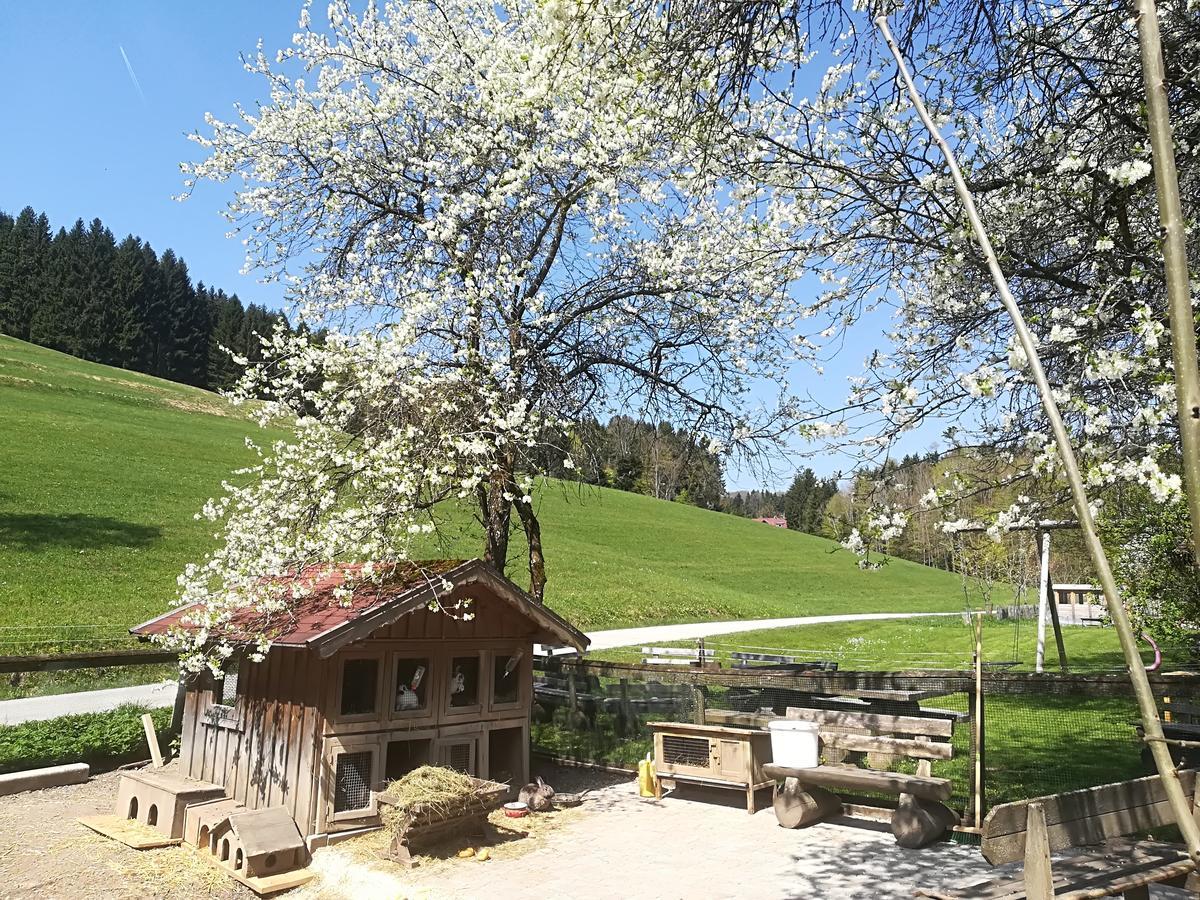Ferienwohnung Grubinger Unterach am Attersee Exterior foto